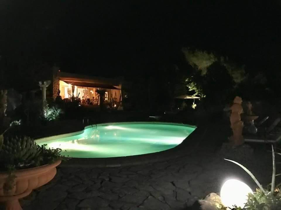 Bed and Breakfast La Cactee Singuliere Béziers Zewnętrze zdjęcie