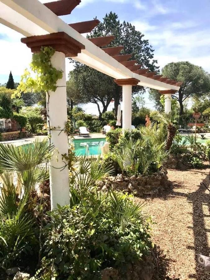 Bed and Breakfast La Cactee Singuliere Béziers Zewnętrze zdjęcie
