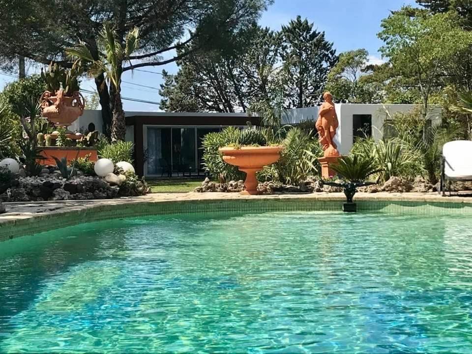 Bed and Breakfast La Cactee Singuliere Béziers Zewnętrze zdjęcie