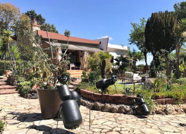 Bed and Breakfast La Cactee Singuliere Béziers Zewnętrze zdjęcie