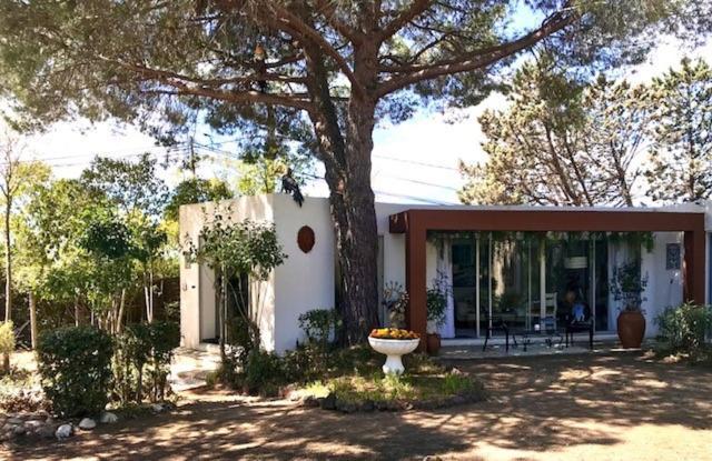 Bed and Breakfast La Cactee Singuliere Béziers Zewnętrze zdjęcie