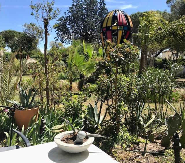 Bed and Breakfast La Cactee Singuliere Béziers Zewnętrze zdjęcie